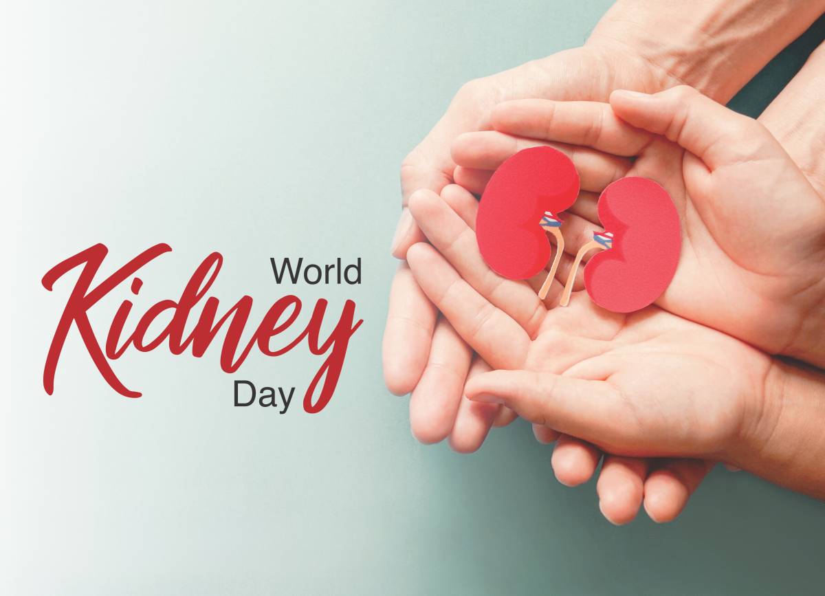 World Kidney Day Sheds Light on the Importance of Kidney Health