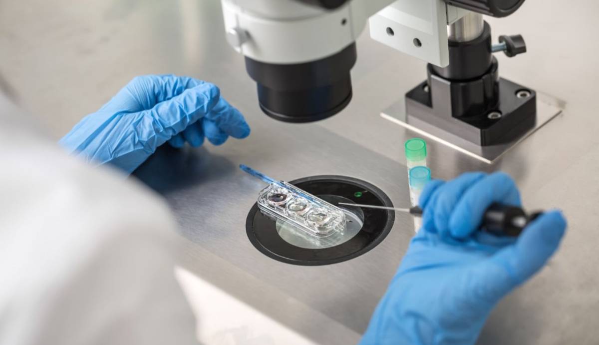 Orchid Fertility Dubai
