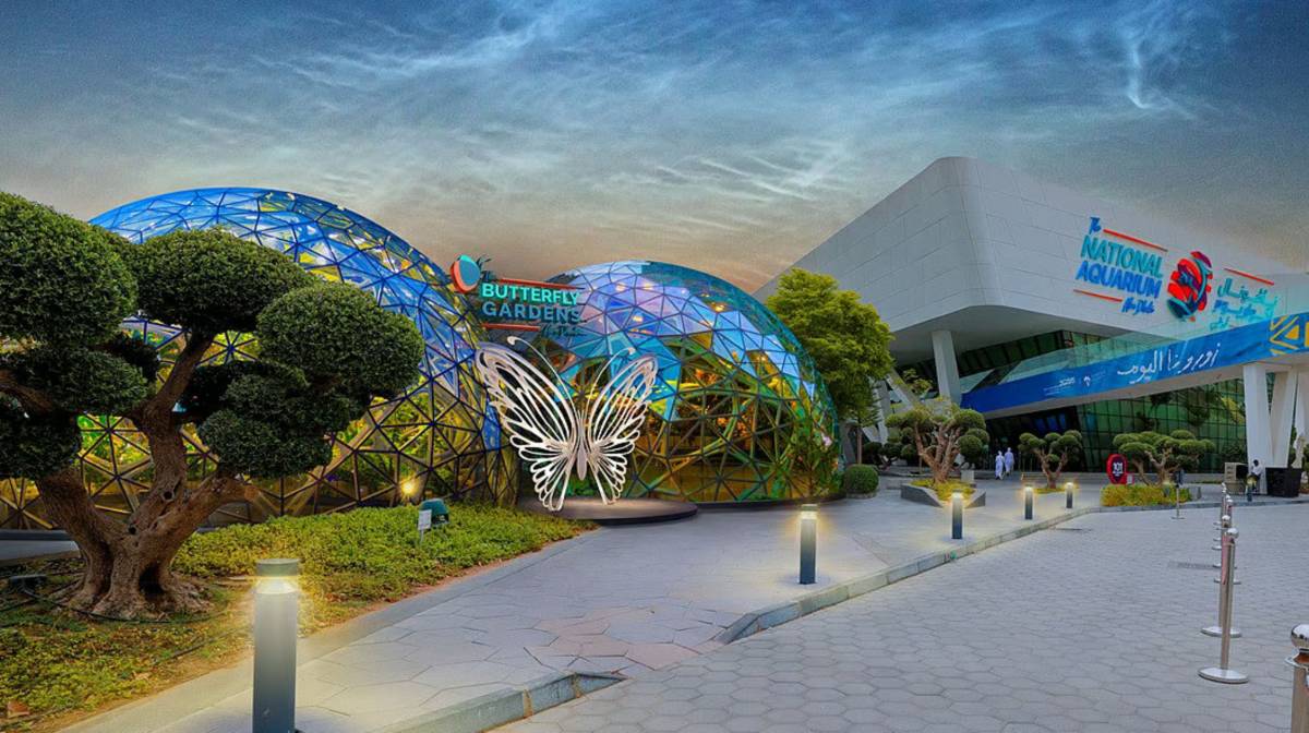 Butterfly Gardens Abu Dhabi