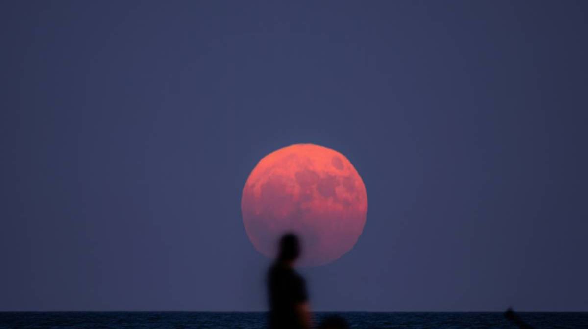 Strawberry Moon