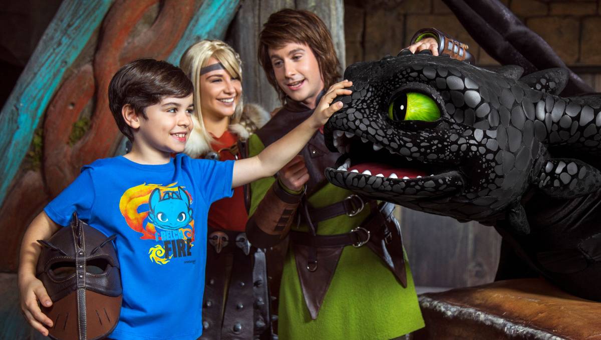 How to train your dragon