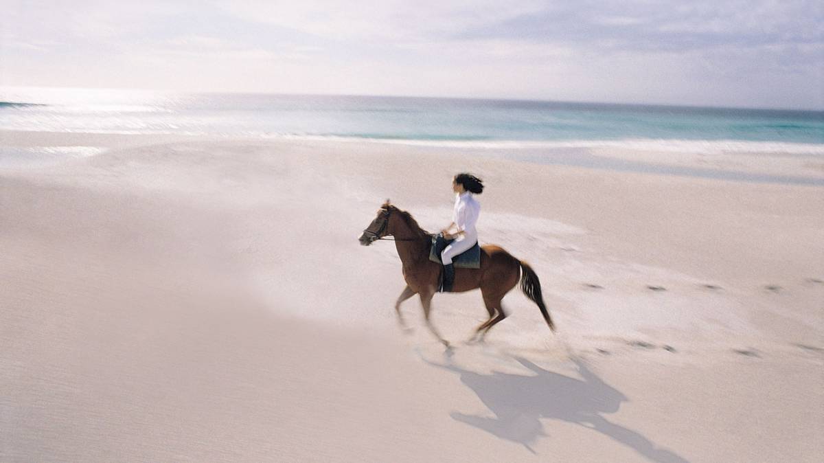 Shaza Hotels to launch new properties in Saudi Arabia, UAE and Orlando