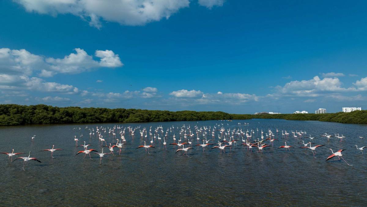 Ajman Tourism