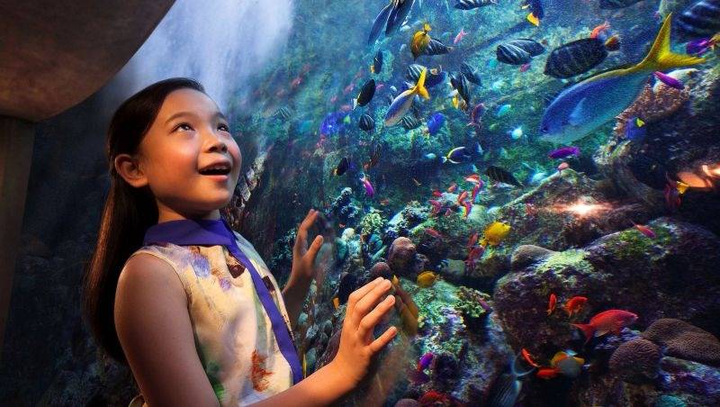 The Lost World Aquarium