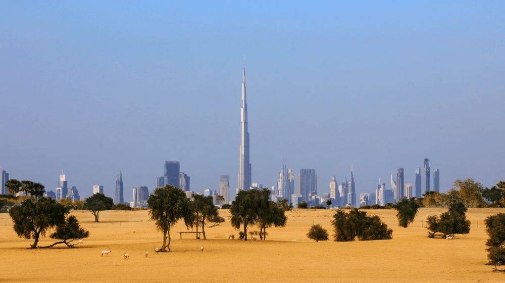 Dubai Mansions