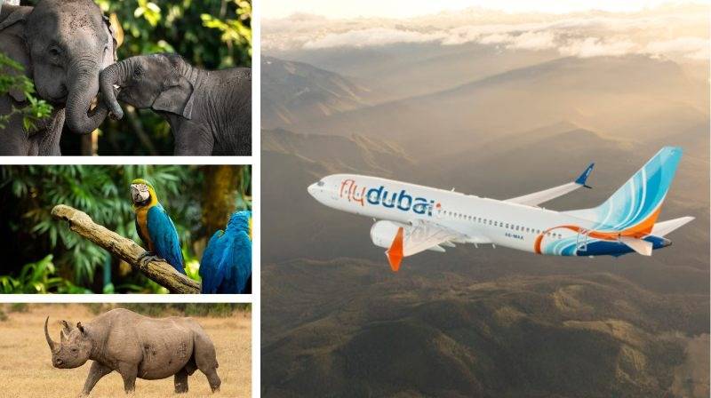 flydubai