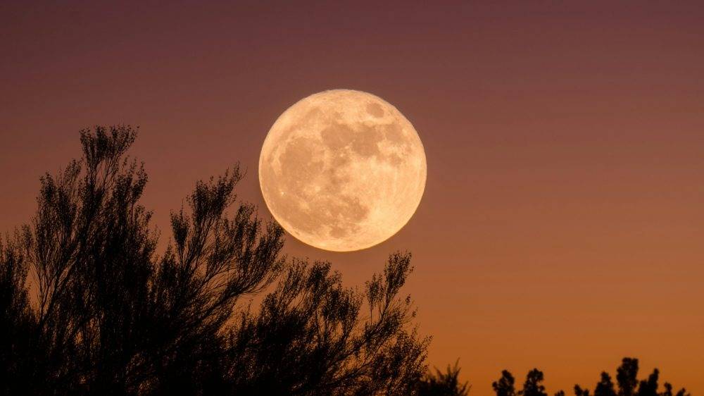 Cold Moon