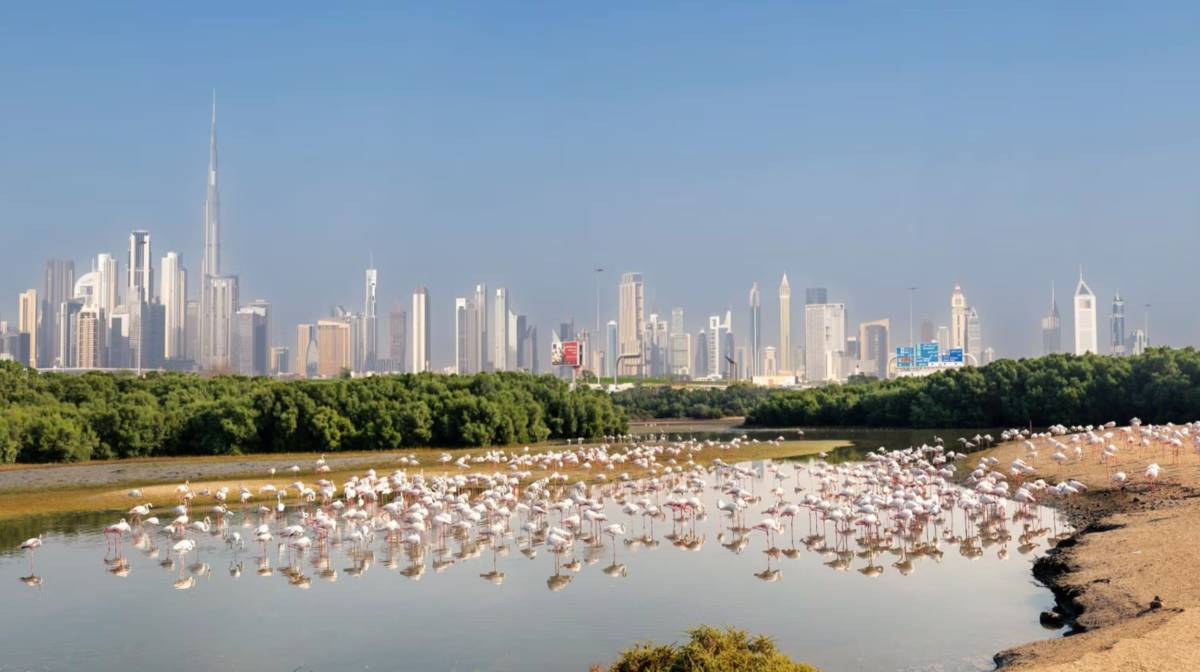 UAE animal trade law