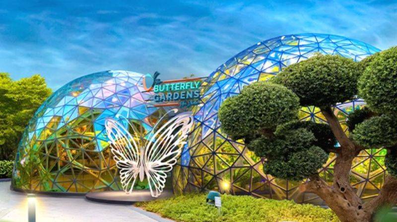 Abu Dhabi Butterfly Gardens
