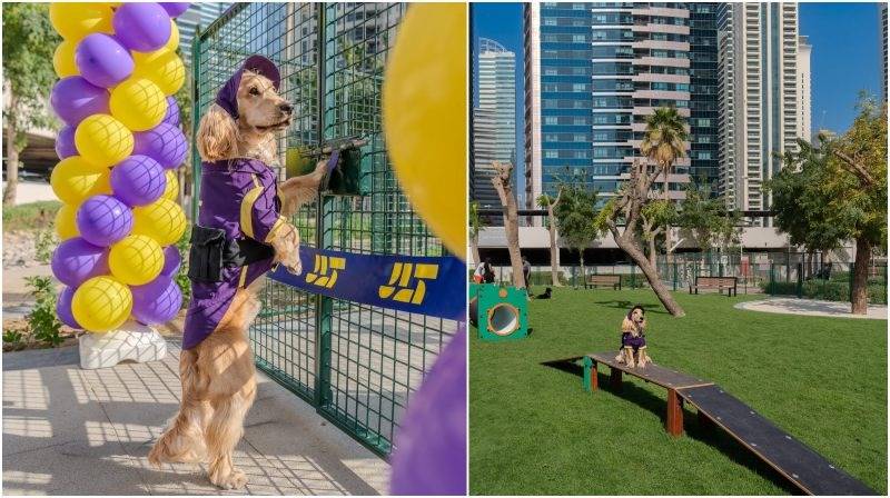 Dubai dog park