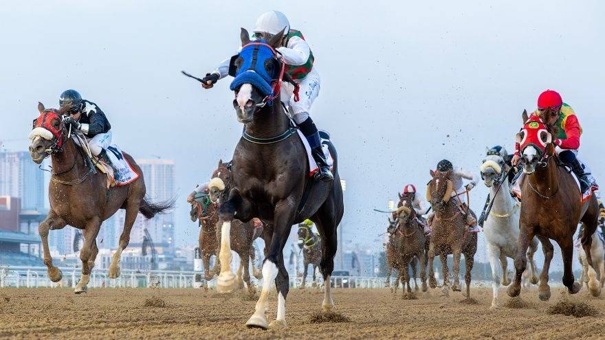 Dubai World Cup