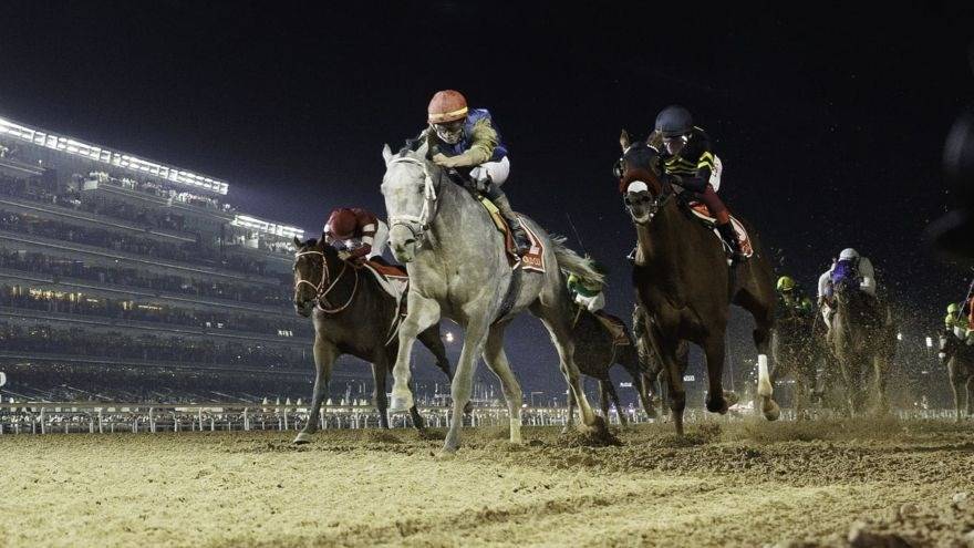 Dubai World Cup