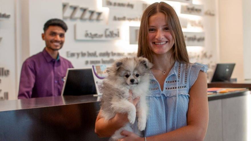 Dubai dog-friendly hotel stay
