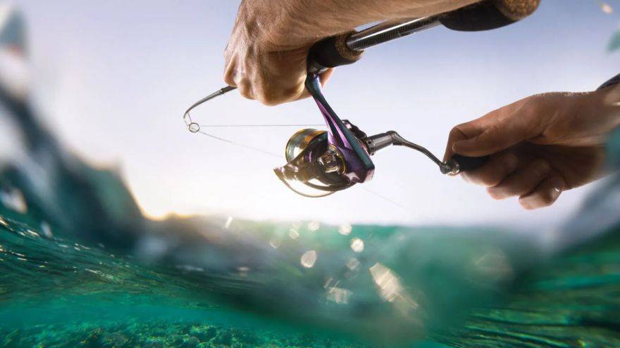 Abu Dhabi fishing