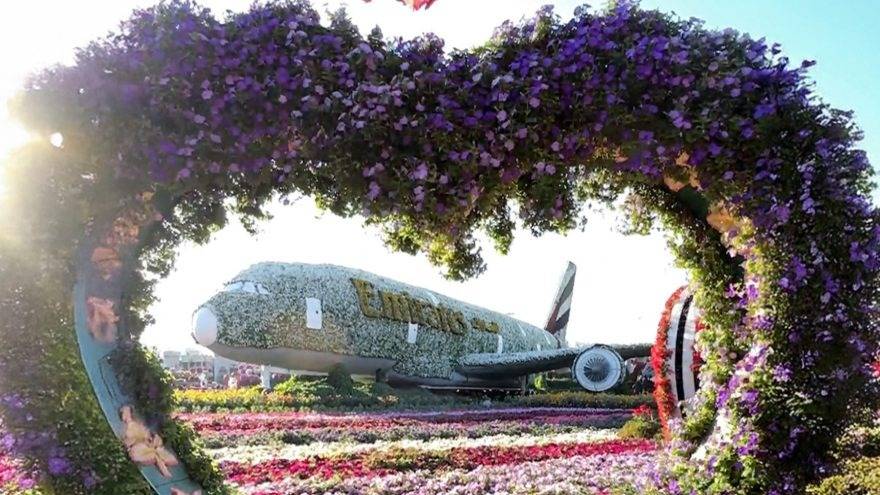 Dubai Miracle Garden