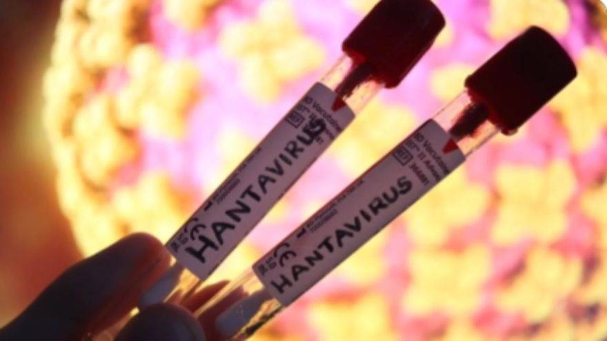 UAE hantavirus