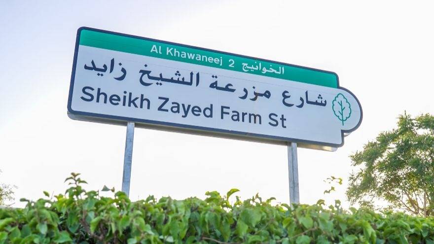 Sheikh Zayed Farm Street