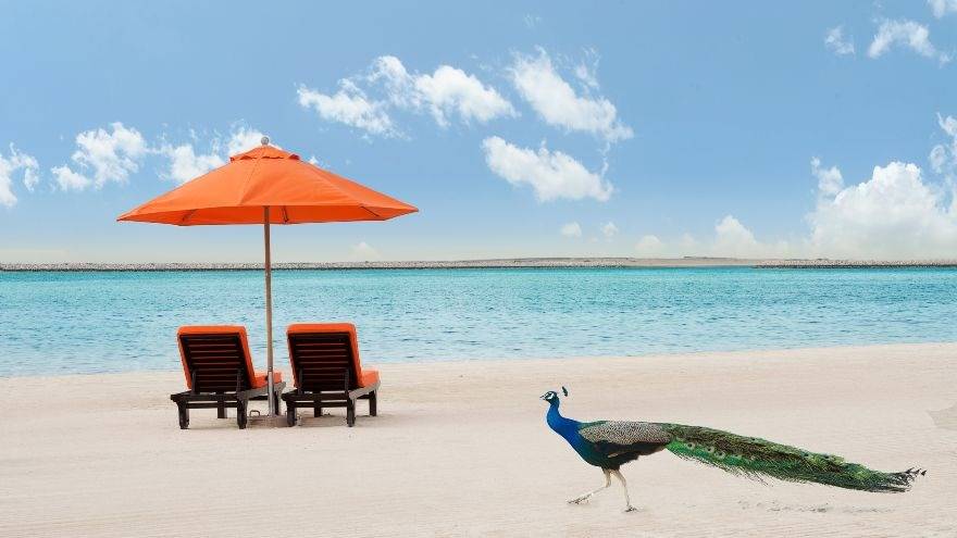 Dubai summer deals