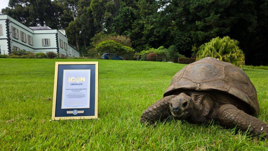 Guinness World Records