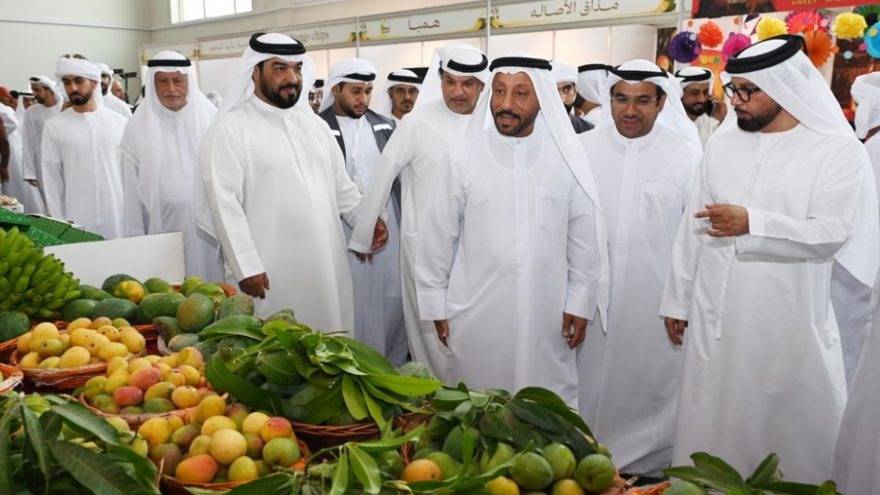 Khorfakkan Mango Festival