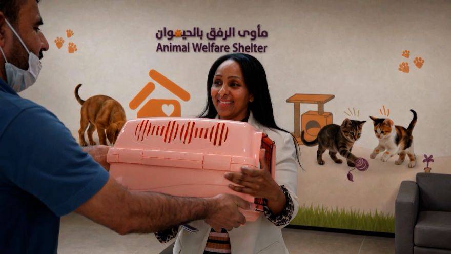 Dubai pets